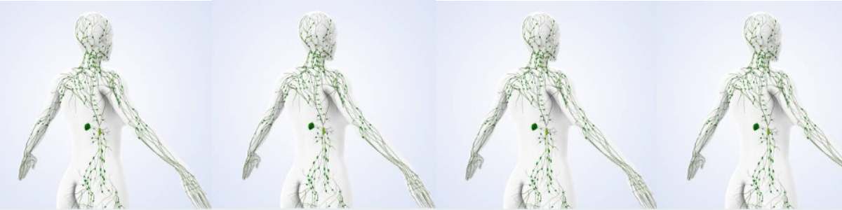 Combined Lymphatic Drainage Diploma